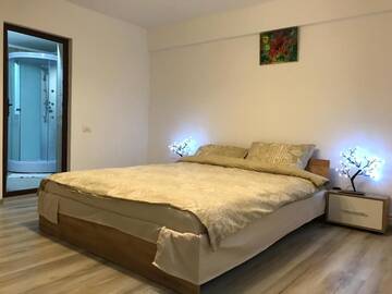 Фото номера Дом для отпуска Гостевой дом Upstairs Residence г. Тыргу-Жиу 9