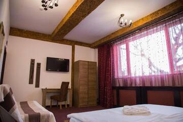 Фото номера Двухместный номер с 1 кроватью Отель Motel Davios г. Тыргу-Жиу 65