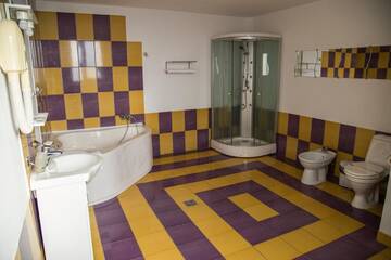 Фото номера Двухместный номер с 1 кроватью Отель Motel Davios г. Тыргу-Жиу 6