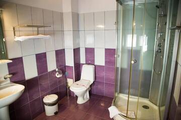 Фото номера Двухместный номер с 1 кроватью Отель Motel Davios г. Тыргу-Жиу 46