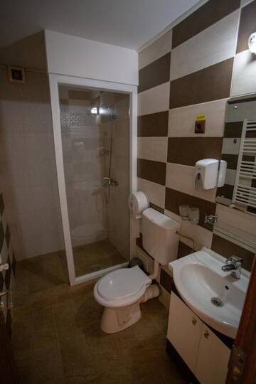 Фото номера Улучшенный трехместный номер Гостевой дом Casa Alex г. Тыргу-Жиу 13