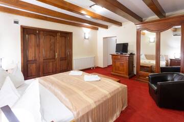 Фото номера Люкс Гостевой дом Boutique Hotel Danielescu г. Тыргу-Жиу 3