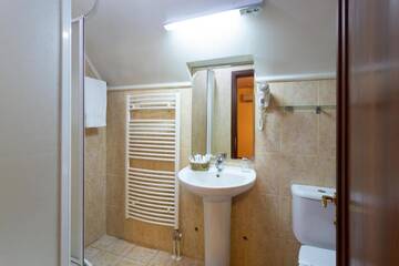 Фото номера Стандартный двухместный номер с 1 кроватью Гостевой дом Boutique Hotel Danielescu г. Тыргу-Жиу 5