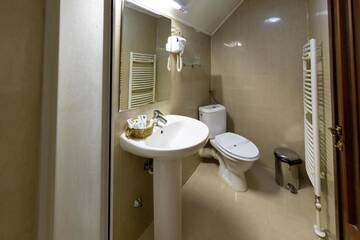 Фото номера Люкс Гостевой дом Boutique Hotel Danielescu г. Тыргу-Жиу 5
