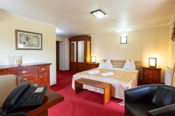 Фото номера Улучшенный двухместный номер с 1 кроватью Гостевой дом Boutique Hotel Danielescu г. Тыргу-Жиу 2
