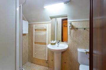 Фото номера Стандартный двухместный номер с 1 кроватью Гостевой дом Boutique Hotel Danielescu г. Тыргу-Жиу 7