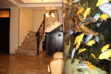 Фотографии Отель Hotel Anna Junior г. Тыргу-Жиу (Румыния) №4 Фото Отель Hotel Anna Junior г. Тыргу-Жиу 4